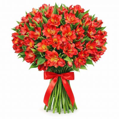 Хиты продаж