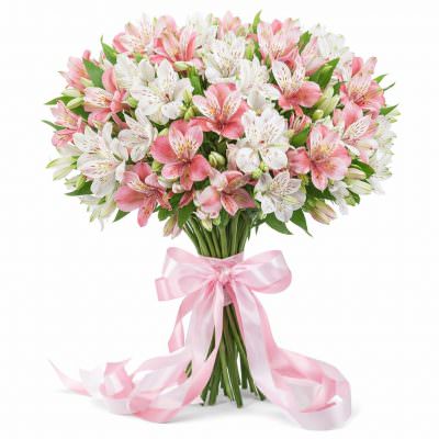 Альстромерия микс 3