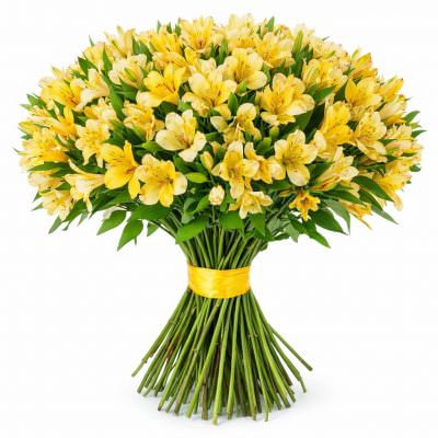 Альстромерия желтая