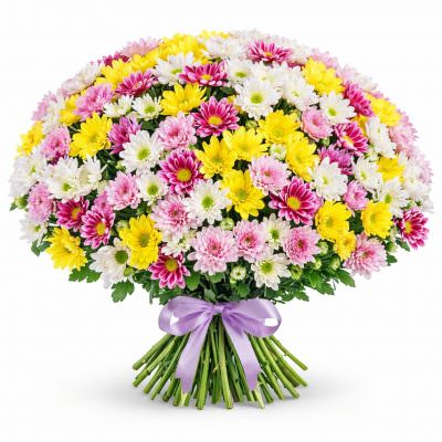 Хризантема кустовая микс 2