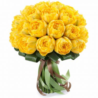 Пион желтый