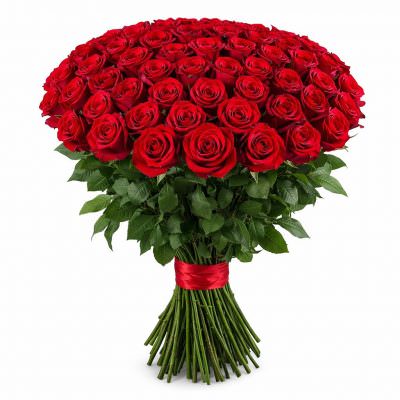 Розы Эквадор красные