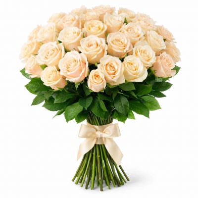 Розы Эквадор кремовые