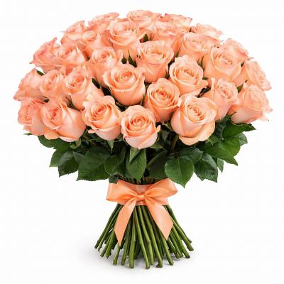 Розы Эквадор персиковые