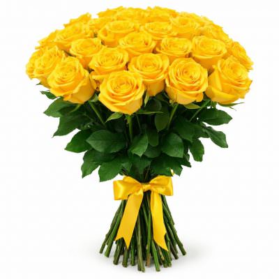 Розы Эквадор желтые