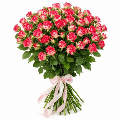 Розы Кустовые красно-белые