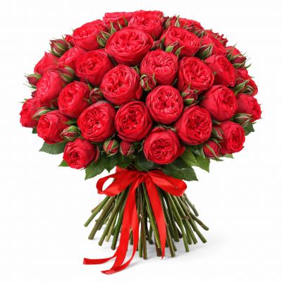 Розы Пионовидные красные