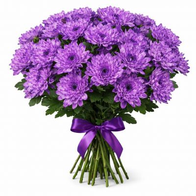 Хризантема одноголовая сиреневая