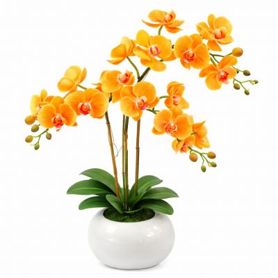 Орхидея в горшке «Темно-желтая»