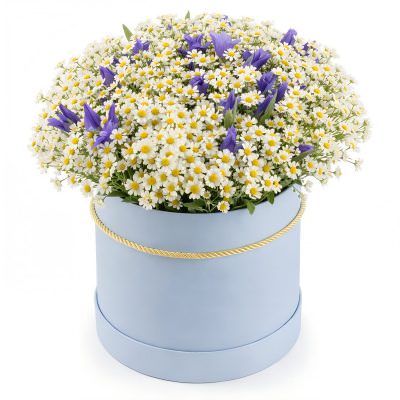 Ромашки и ирисы в шляпной коробке «Нежный бриз»