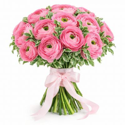 Ранункулюс розовый