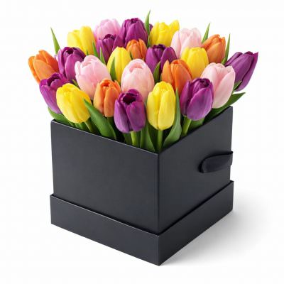Тюльпаны в квадратной коробке «Весенний микс»