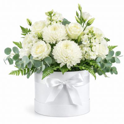 Цветы в шляпной коробке «Белоснежность»