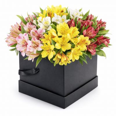 Живые цветы в шляпной коробке «Яркий вихрь»