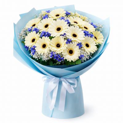 Букет из белых гербер «Зимний блеск»