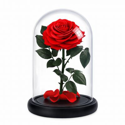 Роза в колбе красная
