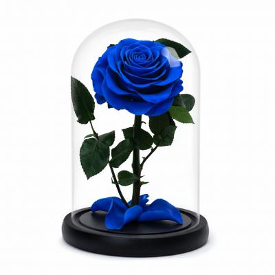 Роза в колбе синяя