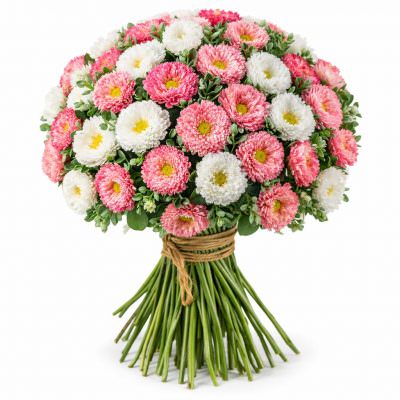 Астра микс 2