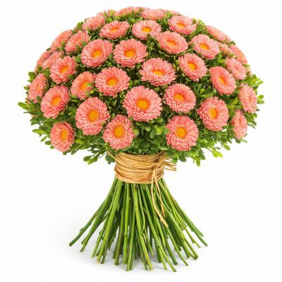 Астра оранжевая