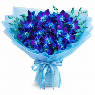 Букет дендробиумов «Синие грёзы»