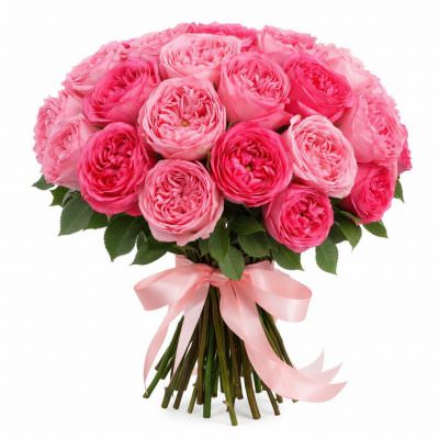 Розы Пионовидные одноголовые розовые