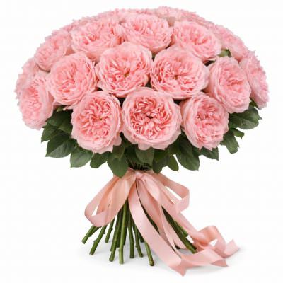 Розы Пионовидные одноголовые светло-розовые